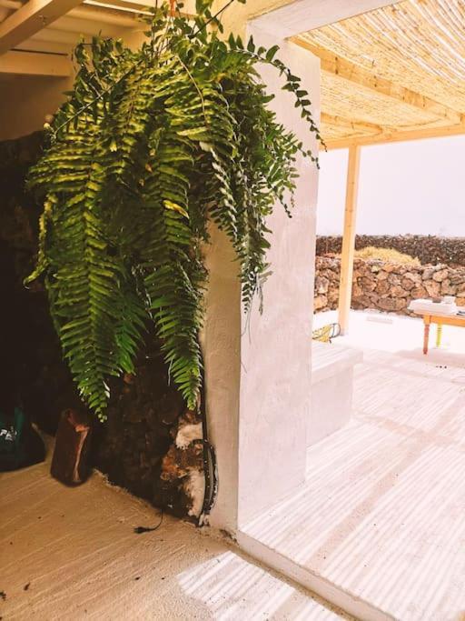 Estudio Con Bano Privado Orzola Luaran gambar